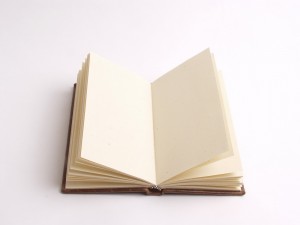 Das Buch der fehlenden Worte
